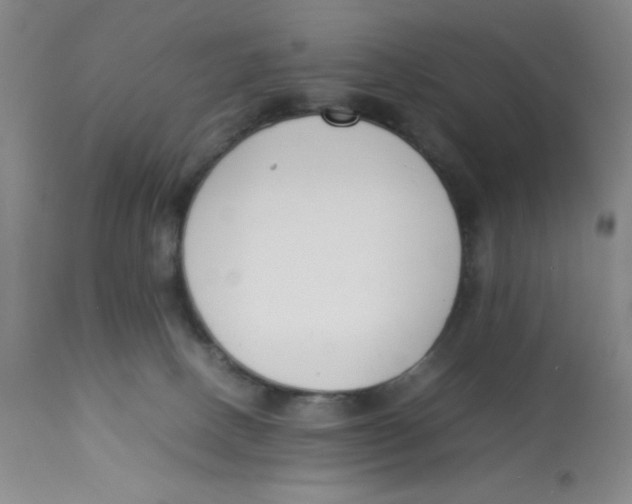 X0000112870082200909181834