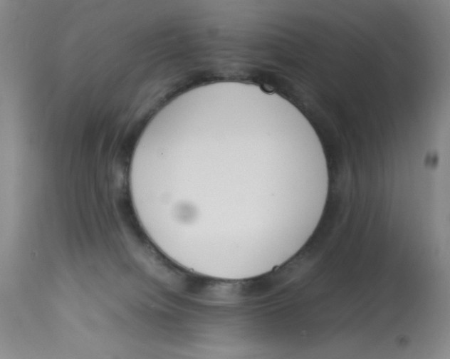 X0000112870084200909181834