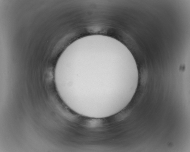 X0000112870085200909181834