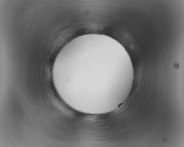 X0000112870086200909181834