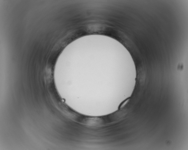 X0000112870087200909181835