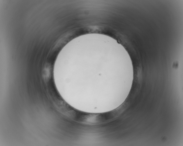 X0000112870090200909181835