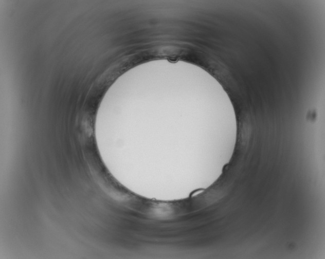 X0000112870091200909181835