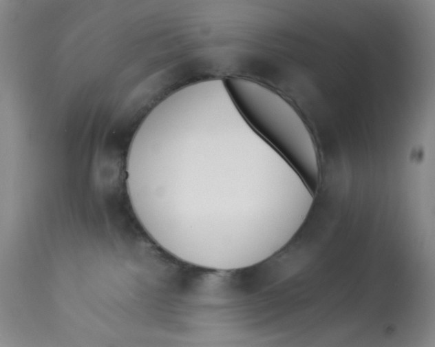 X0000112870092200909181835