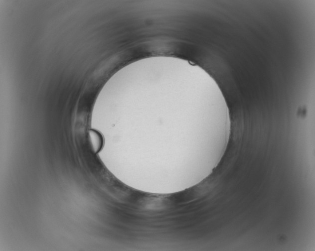 X0000112870093200909181835