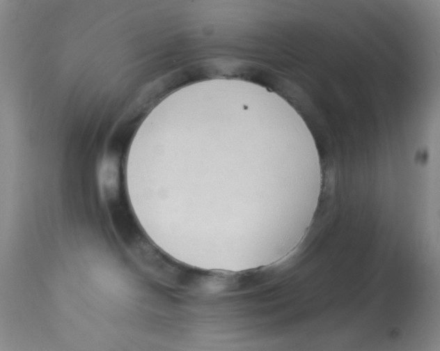 X0000112870094200909181835