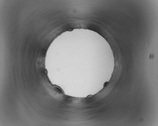 X0000112870096200909181835