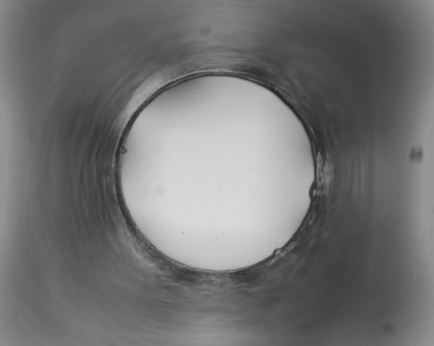 X0000112870099200909181834