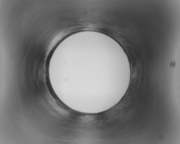 X0000112870102200909181834