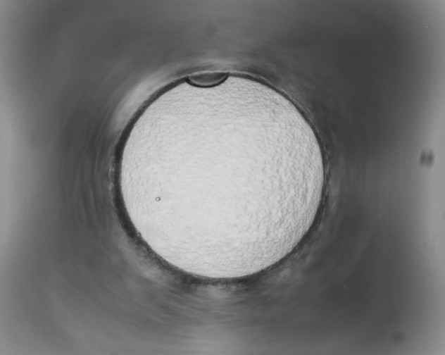 X0000112870103200909181834