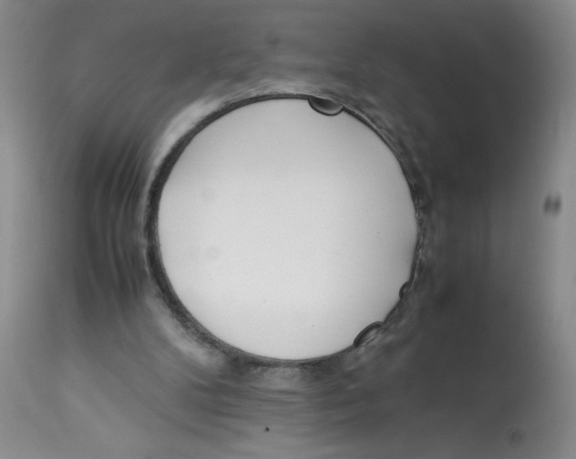 X0000112870104200909181834