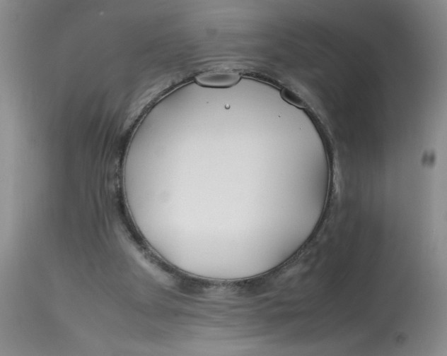 X0000112870105200909181834