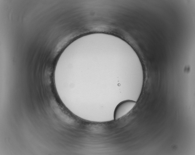 X0000112870106200909181834