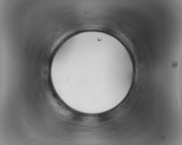 X0000112870107200909181833