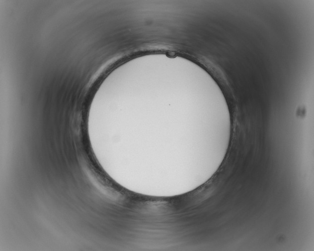 X0000112870108200909181833