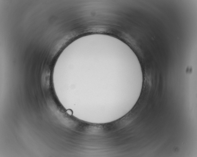 X0000112870110200909181833