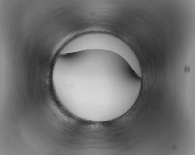 X0000112870112200909181833