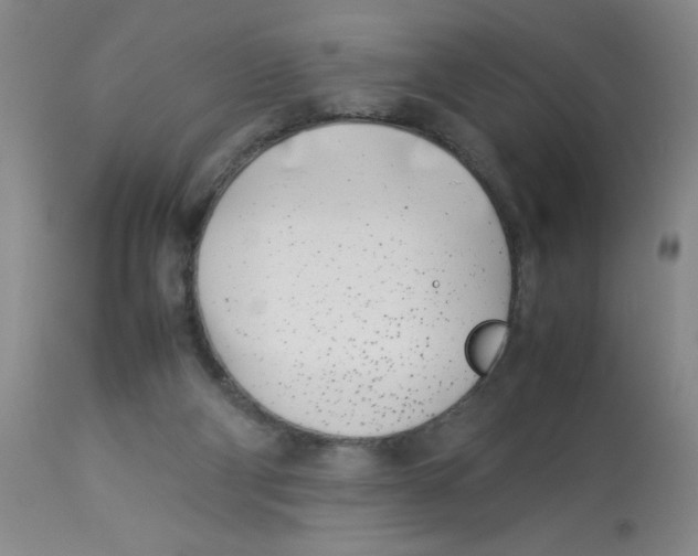 X0000112870114200909181833