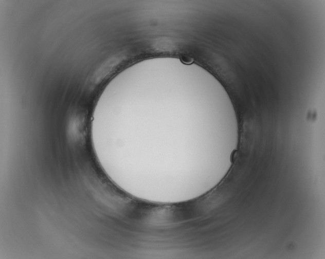 X0000112870116200909181833