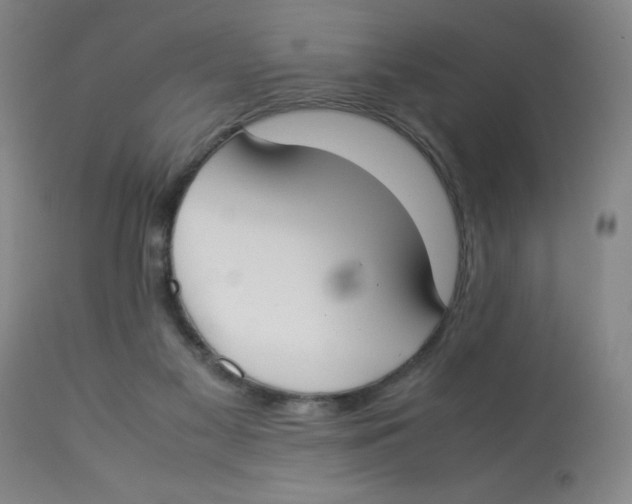 X0000112870117200909181833