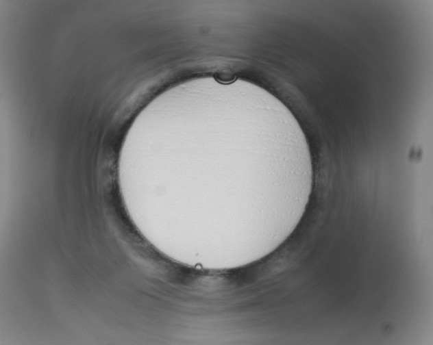 X0000112870119200909181833