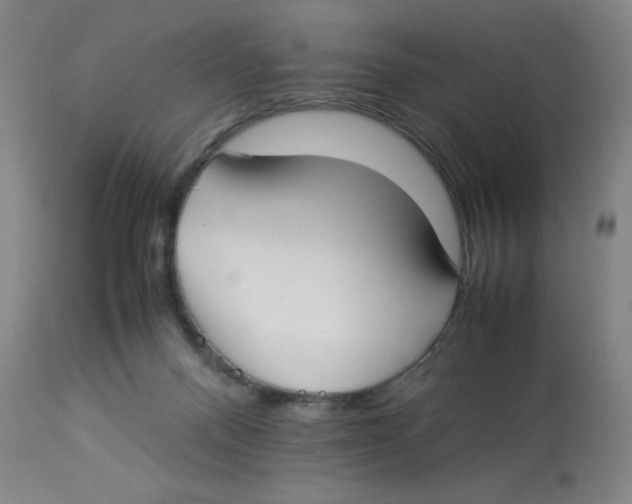 X0000112870120200909181833