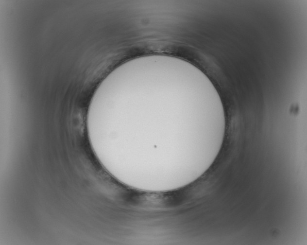 X0000112870121200909181833