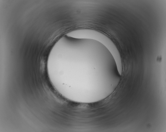 X0000112870124200909181833