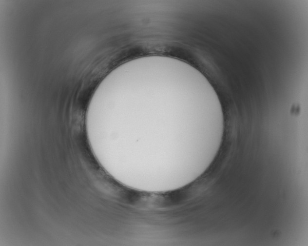 X0000112870125200909181833