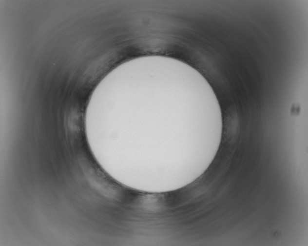 X0000112870126200909181833