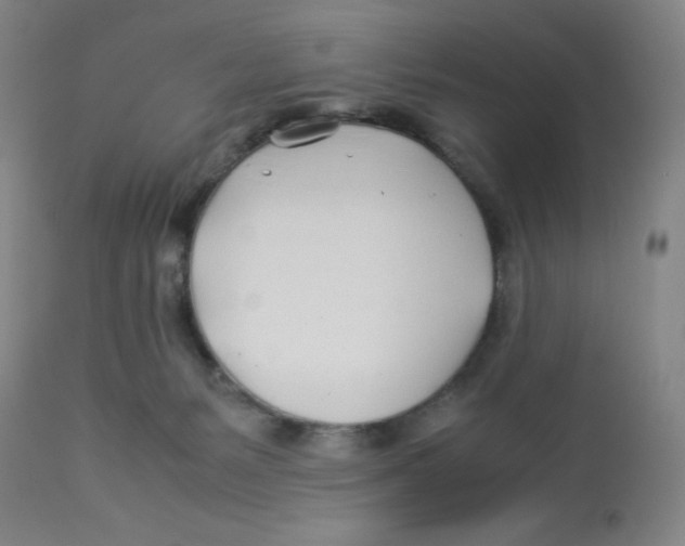 X0000112870127200909181833