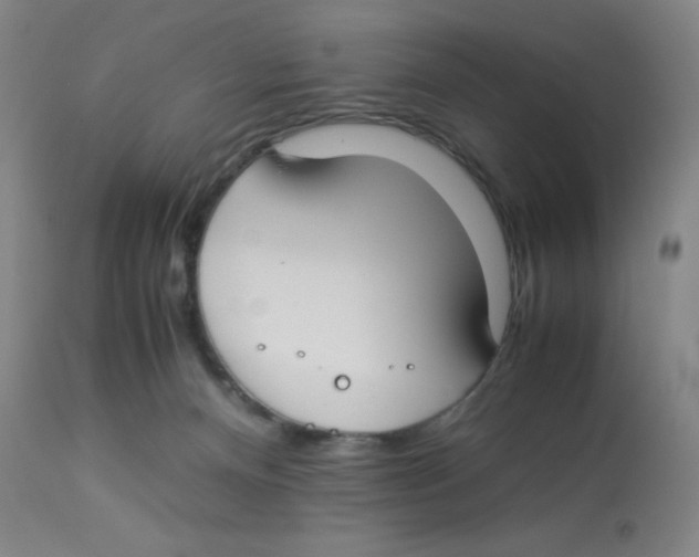 X0000112870128200909181833