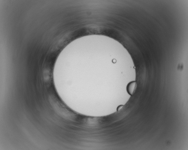 X0000112870134200909181833