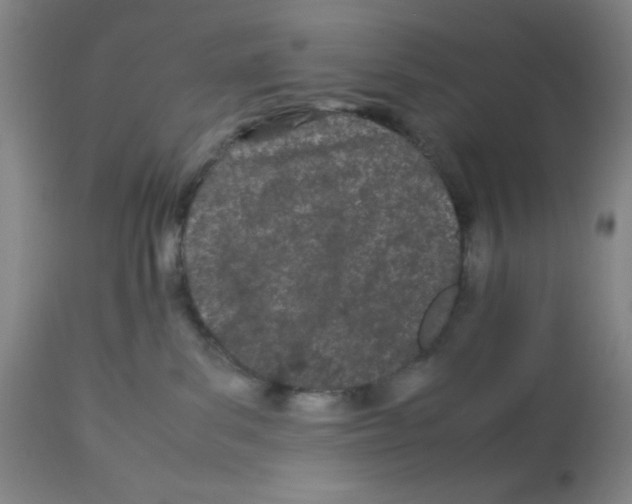 X0000112870139200909181833