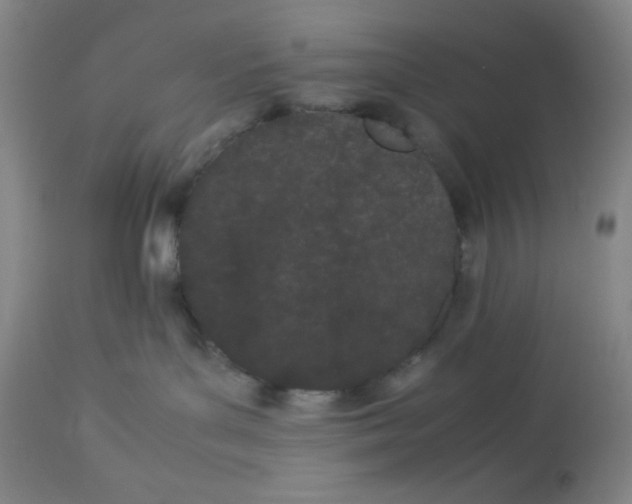 X0000112870143200909181833