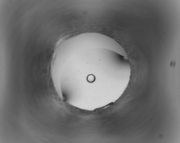 X0000112870144200909181833