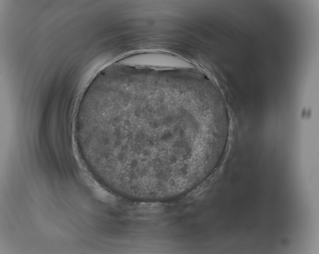 X0000112870145200909181832