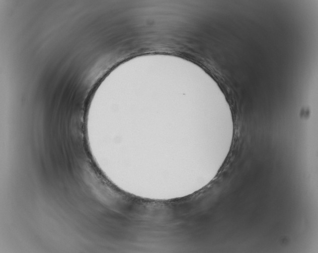 X0000112870146200909181832