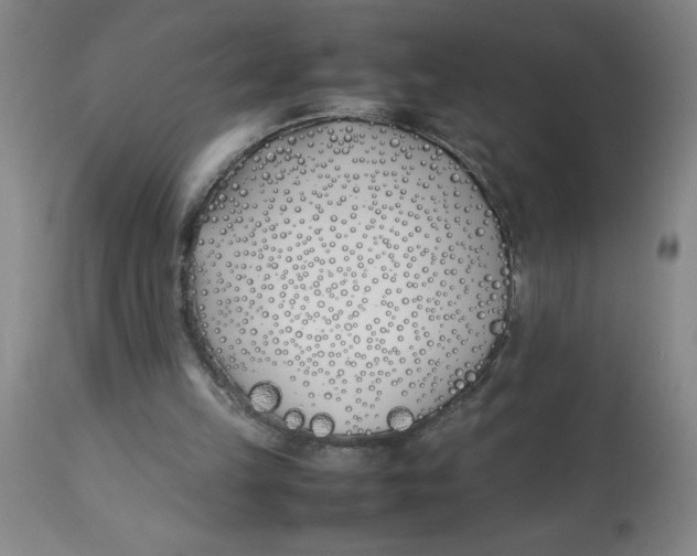 X0000112870149200909181832