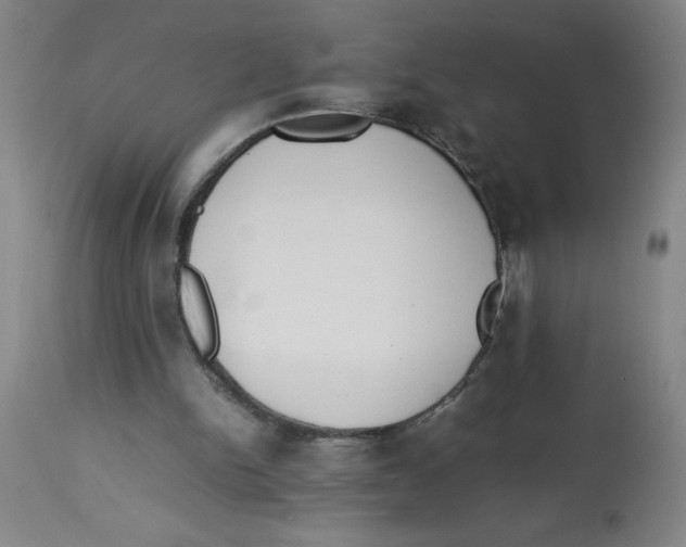 X0000112870150200909181832