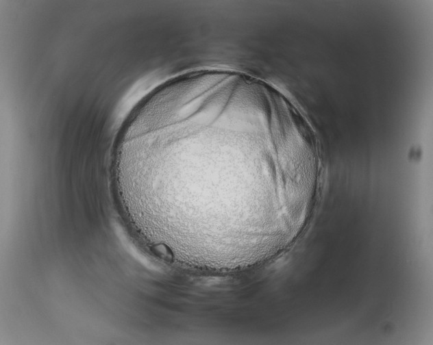 X0000112870151200909181832