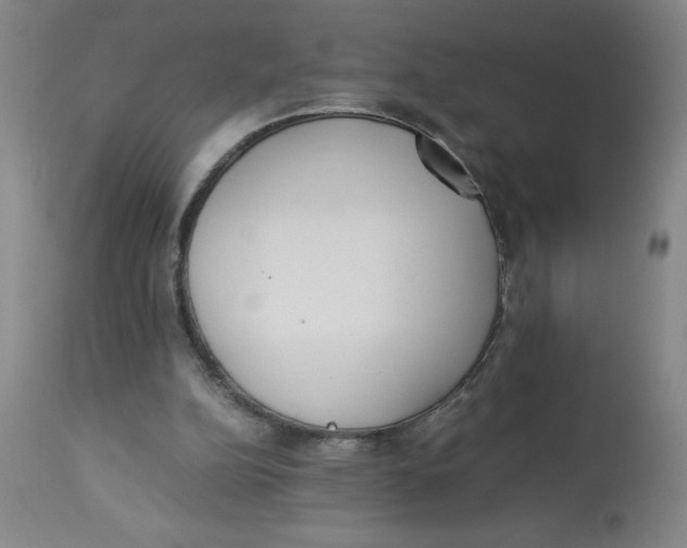 X0000112870152200909181832