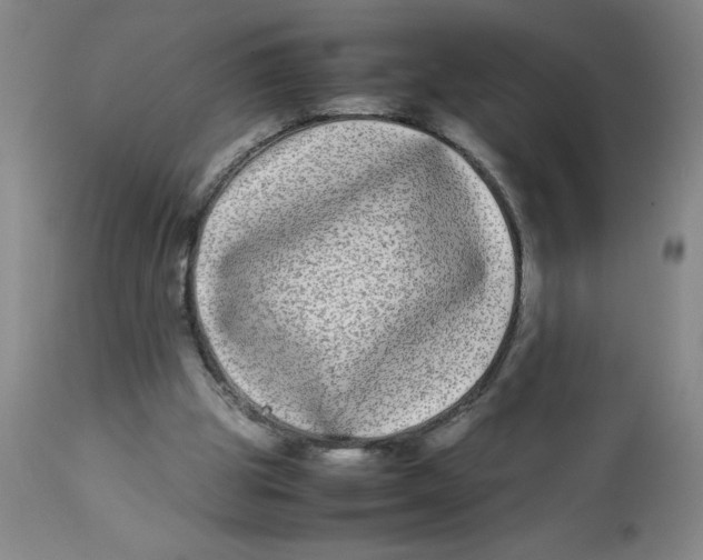 X0000112870153200909181832