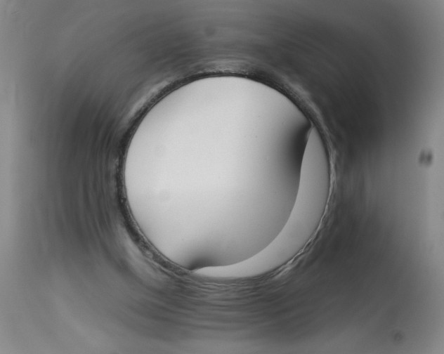 X0000112870154200909181832