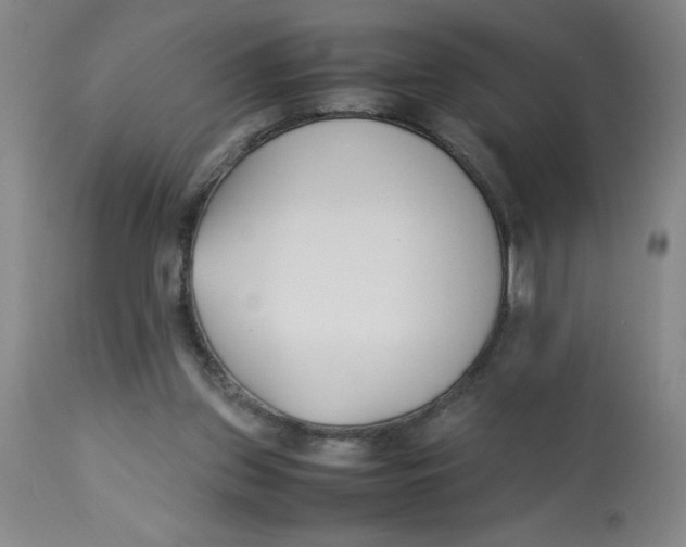 X0000112870157200909181832