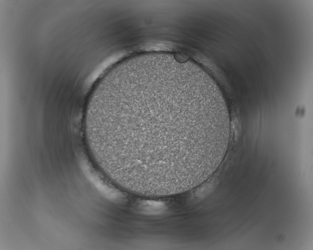 X0000112870159200909181832