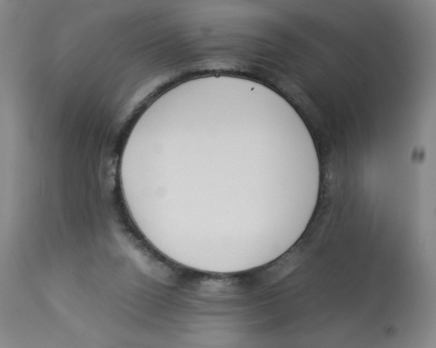 X0000112870160200909181832