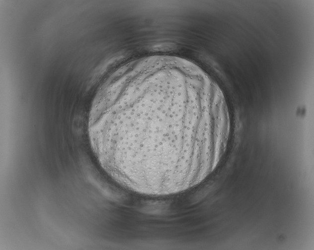 X0000112870161200909181832