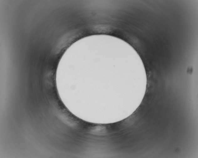 X0000112870162200909181832