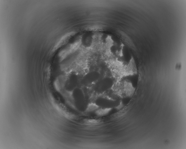 X0000112870163200909181832